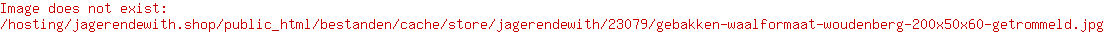 Gebakken waalformaat Woudenberg 200x50x60 getrommeld