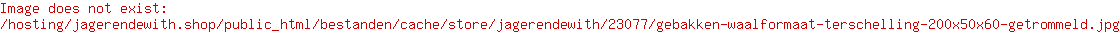 Gebakken waalformaat Terschelling 200x50x60 getrommeld