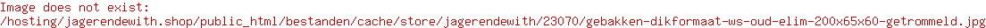 Gebakken dikformaat WS Oud Elim 200x65x60 getrommeld