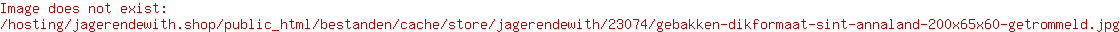 Gebakken dikformaat Sint-Annaland 200x65x60 getrommeld