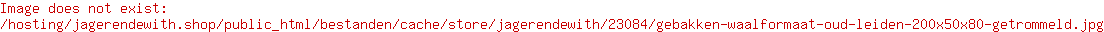 Gebakken waalformaat Oud Leiden 200x50x80 getrommeld