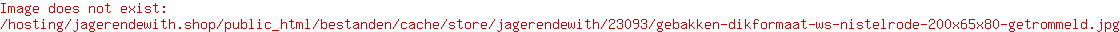Gebakken dikformaat WS Nistelrode 200x65x80 getrommeld