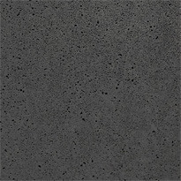 SV Oudhollandse grote tegel 150x120x10 cm carbon